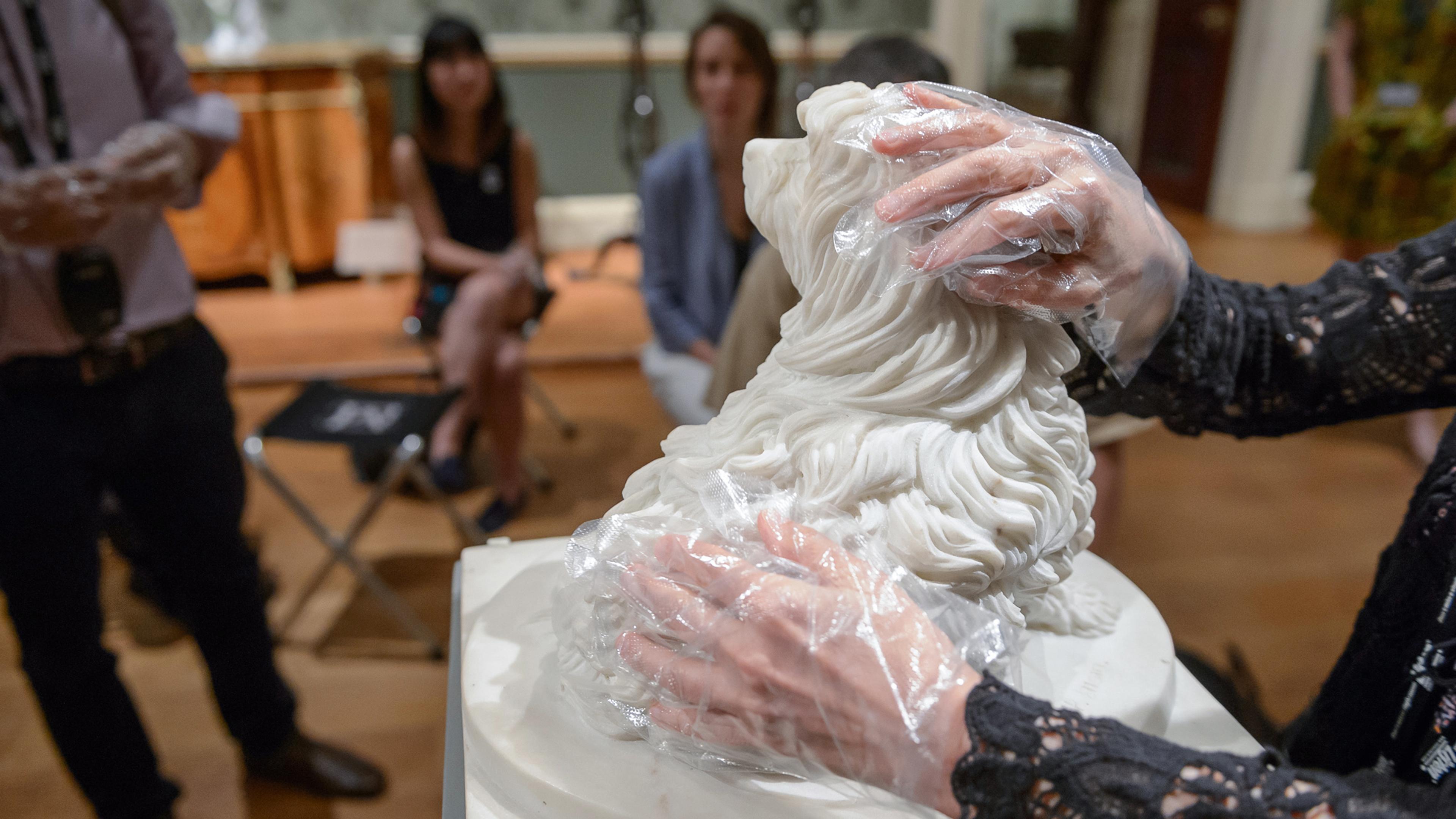 Close view of a person wearing gloves touching a marble sculpture of a dog.