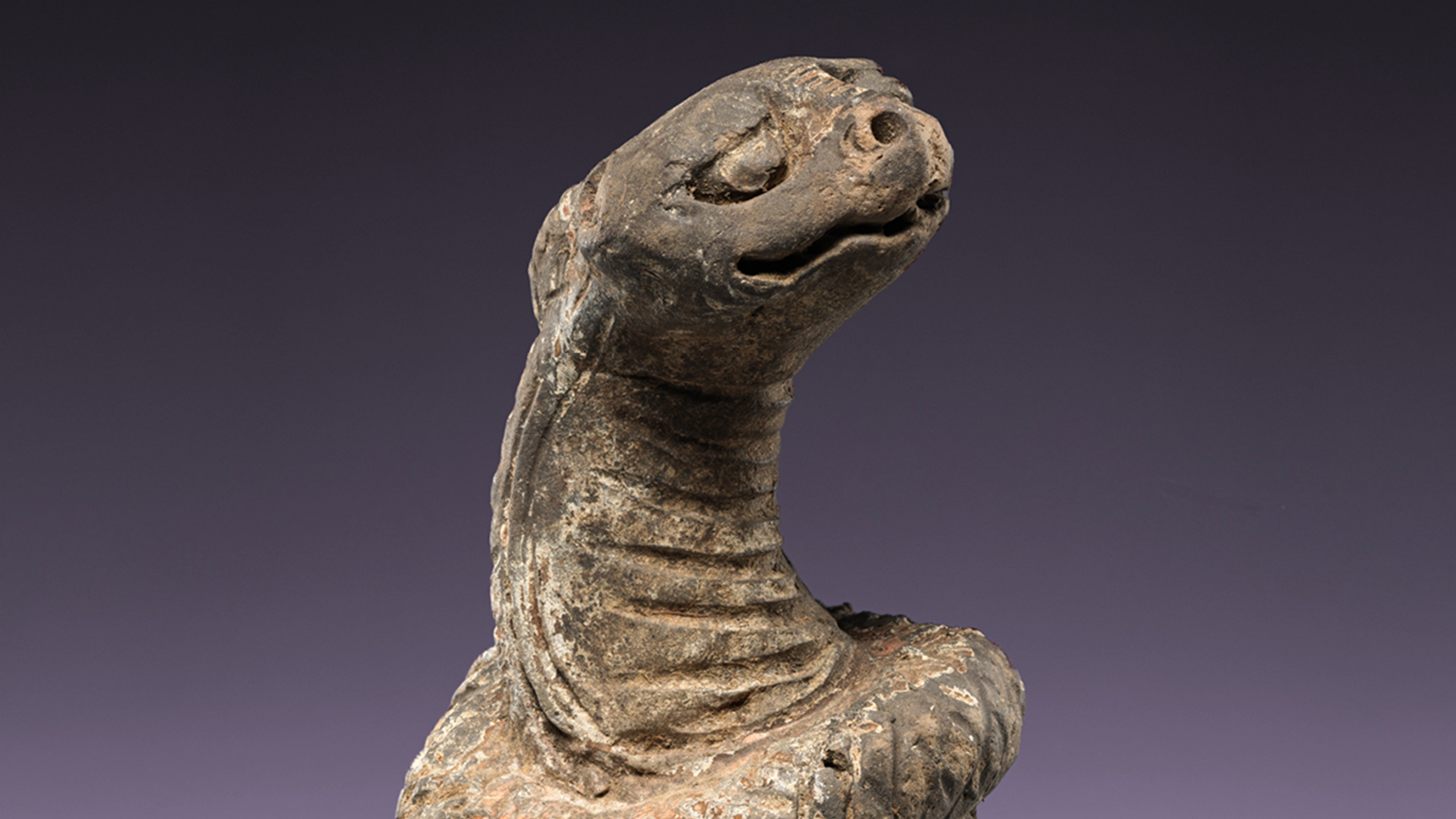 Weathered sculpture of a serpent-like creature with a ridged neck and expressive face, set against a dark gradient background.